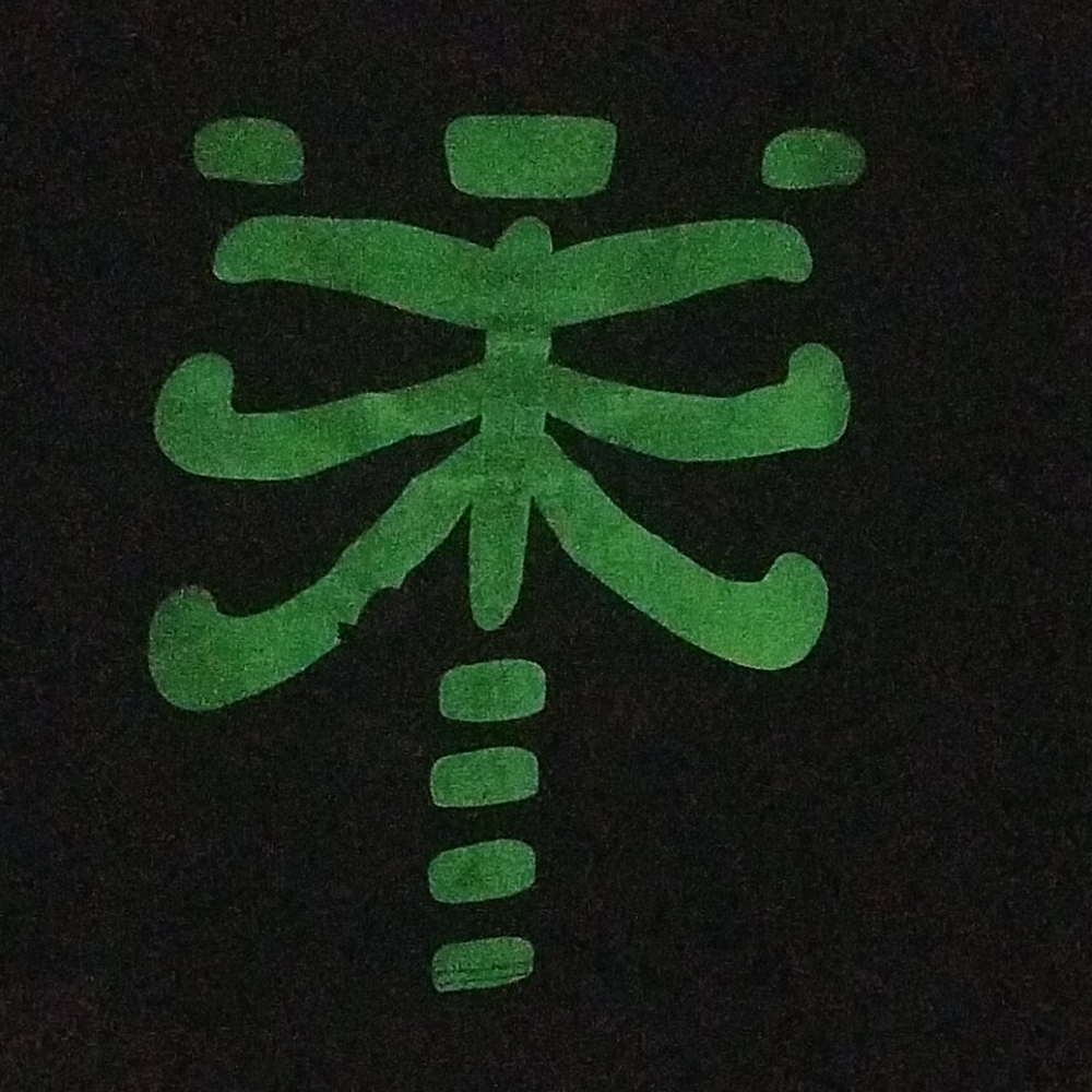 Glow-in-the-dark Skeleton shirt - Picture 2 of 2